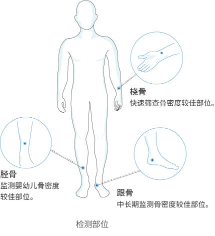 超聲骨密度儀檢測(cè)部位
